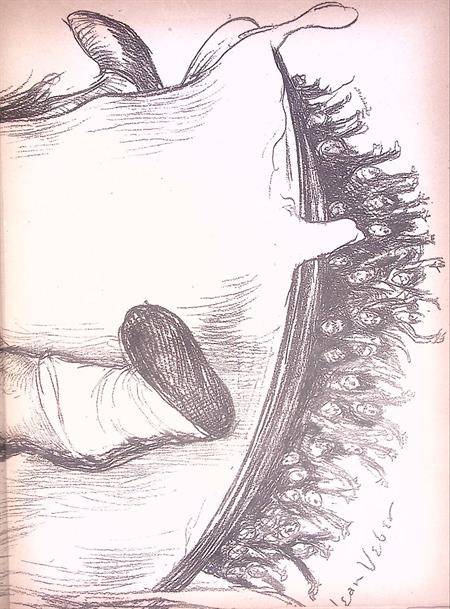 19010404_1_5.jpg