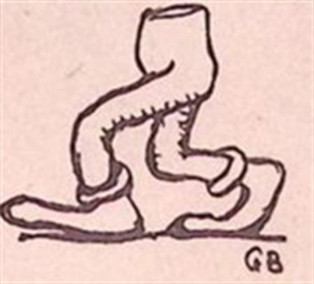 28-11-1918_14.jpg